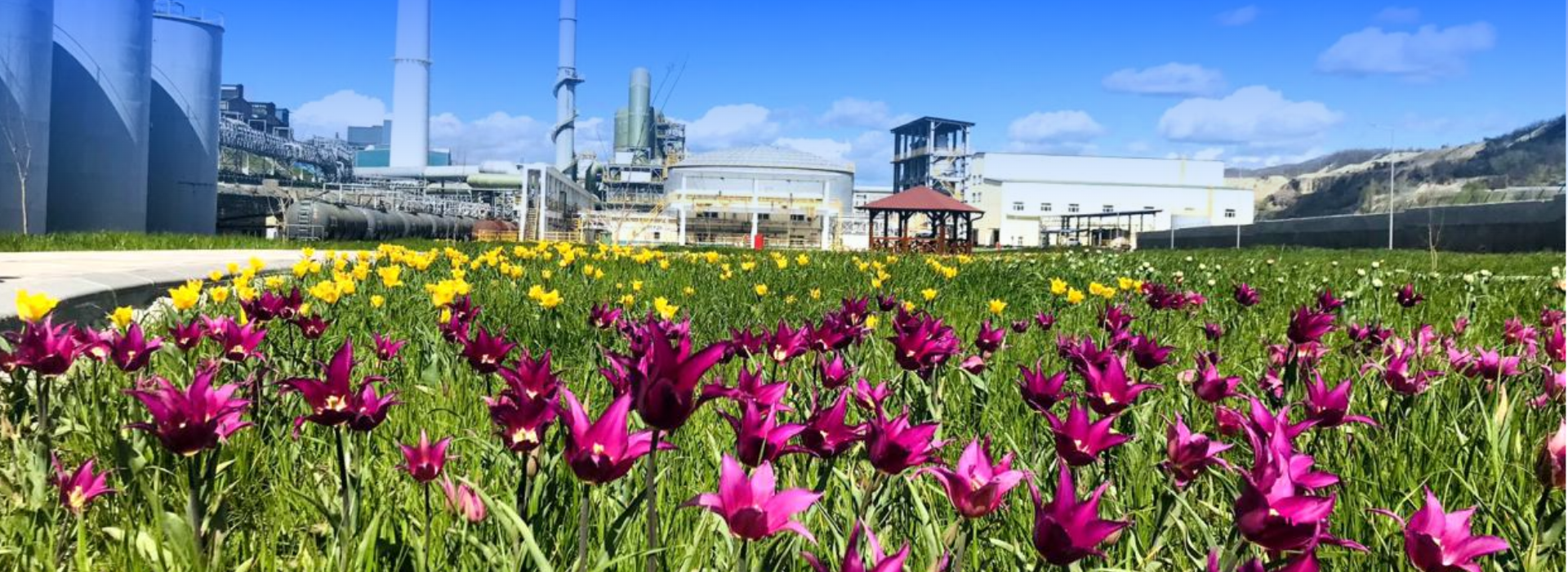 About Serbia Zijin Copper